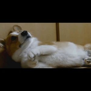 Meet your Posher, Trisha